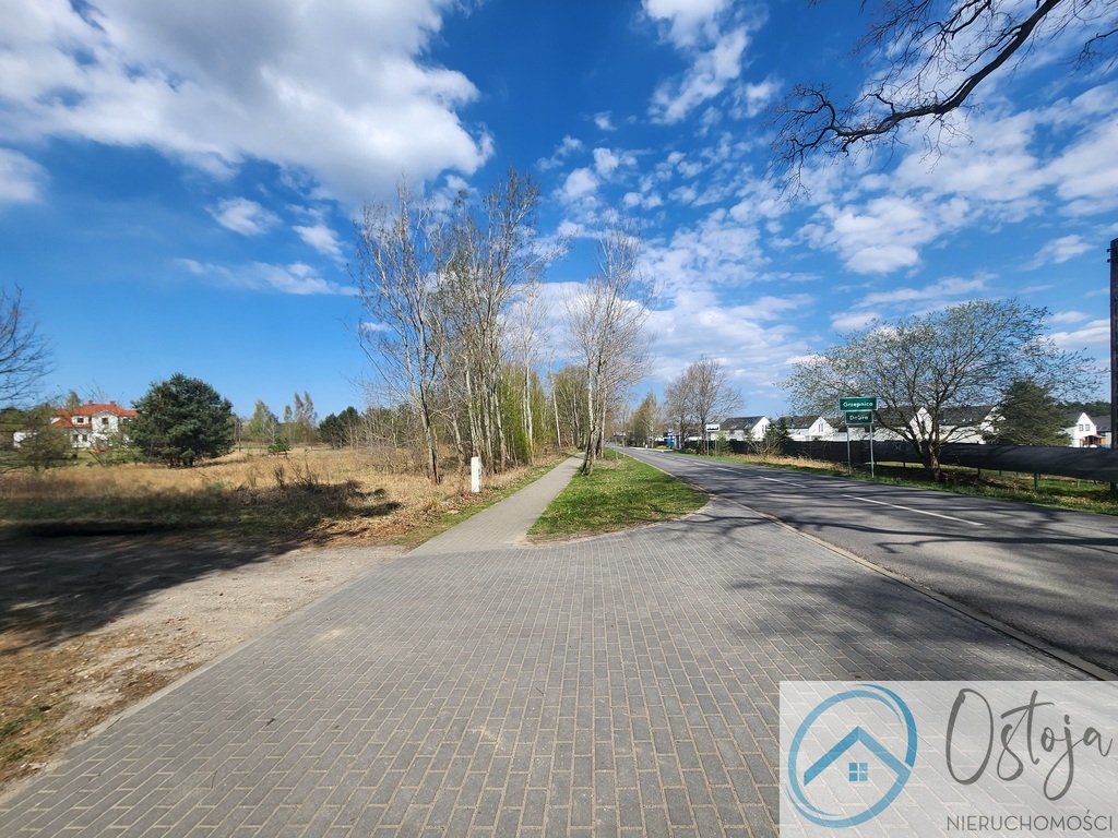 Działka z Warunkami zabudowy na 9 Domów- Grzepnica (2)