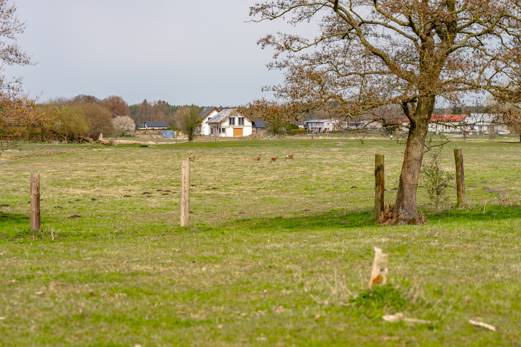 Działki Tanowo | Spokój natury blisko Szczecina (15)