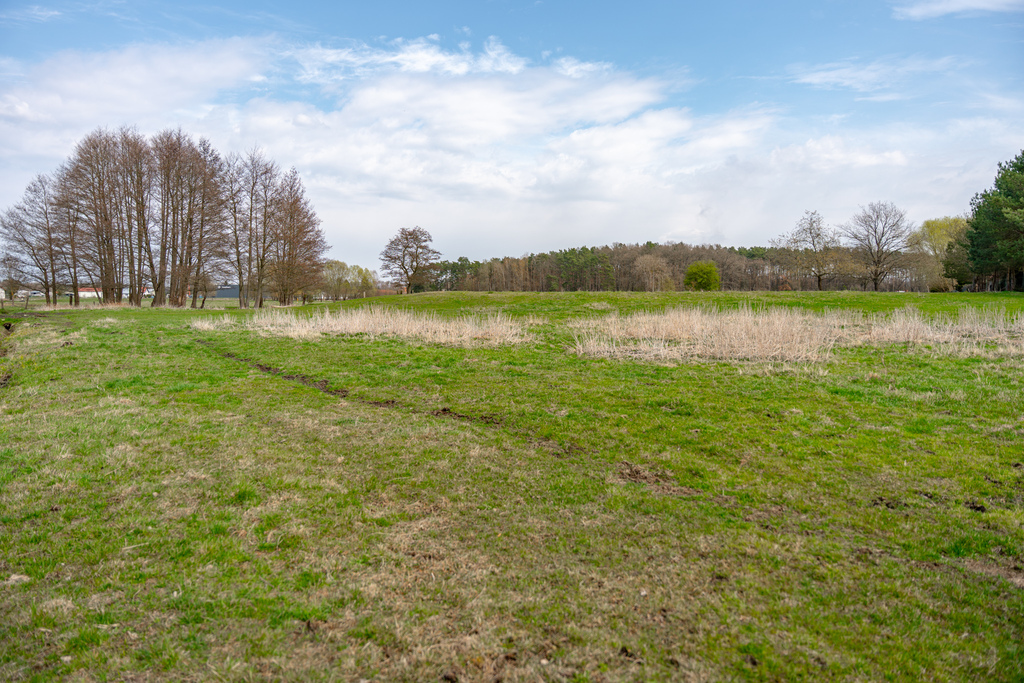 Działki Tanowo | Spokój natury blisko Szczecina (19)