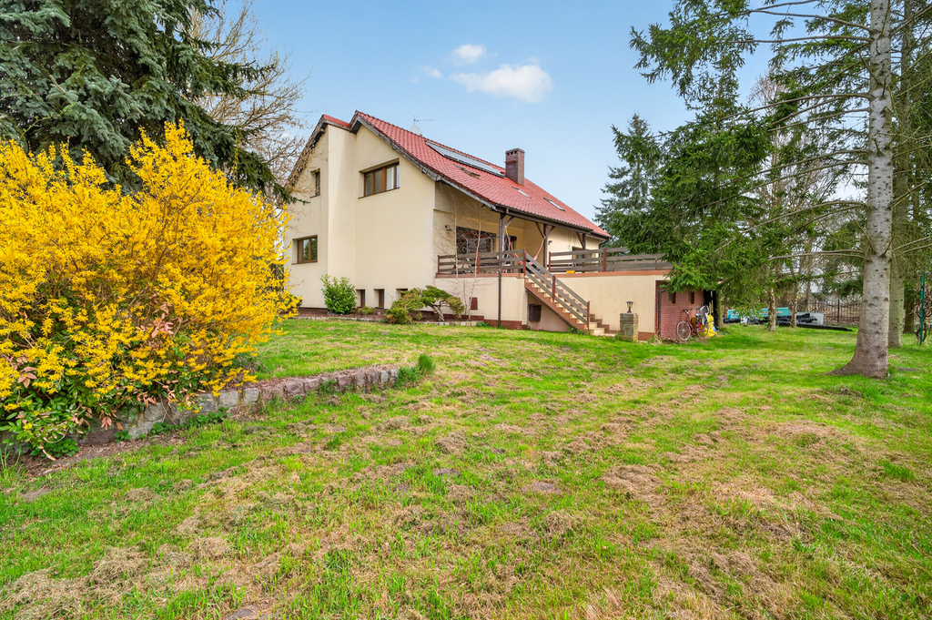 Ogromny dom 430 m2 | Idealny na biznes i życie (2)