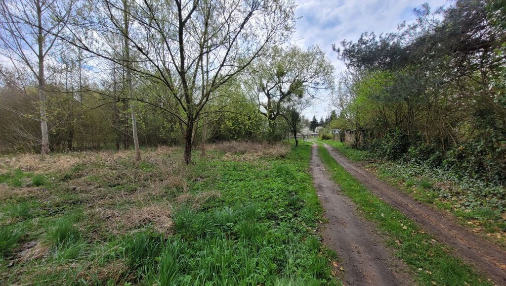 Działka budowlana - nad jeziorem Miedwie (2)