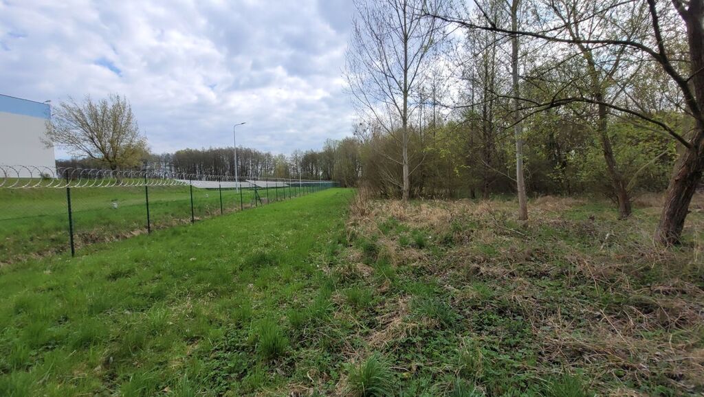 Działka budowlana - nad jeziorem Miedwie (3)