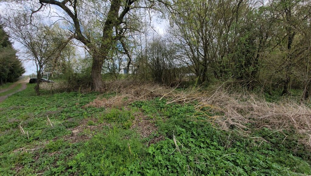 Działka budowlana - nad jeziorem Miedwie (5)