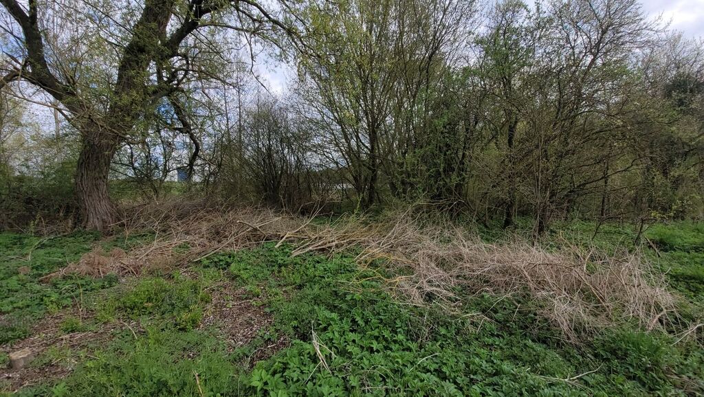 Działka budowlana - nad jeziorem Miedwie (6)