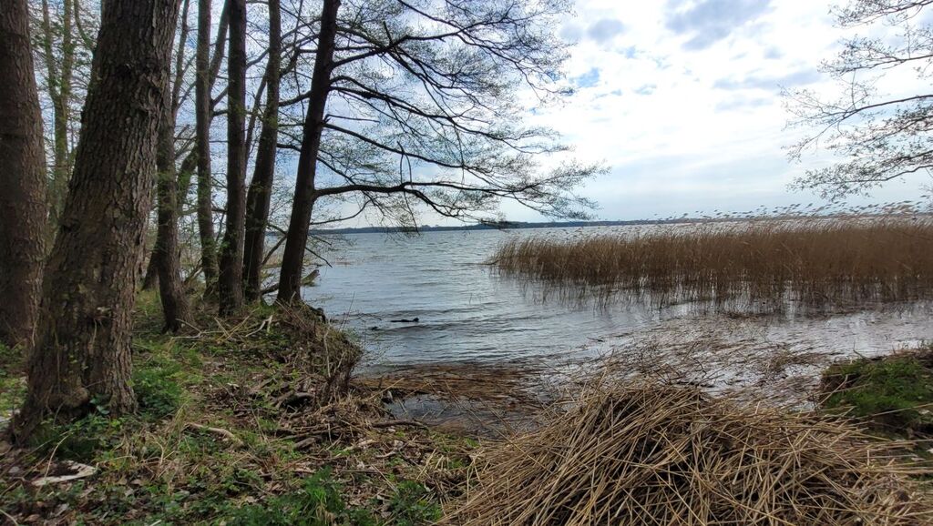 Działka budowlana - nad jeziorem Miedwie (1)