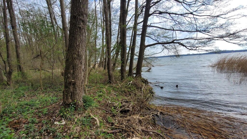 Działka budowlana - nad jeziorem Miedwie (7)