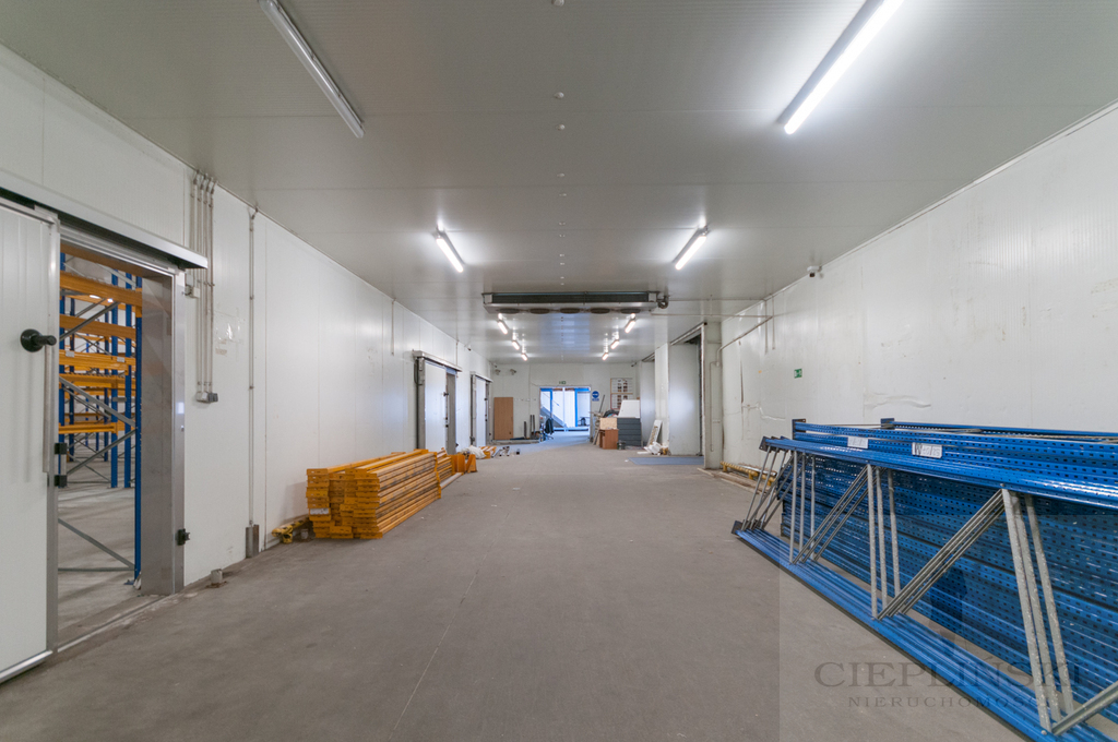 obiekt chłodnia/mroźnia/magazyn (3)