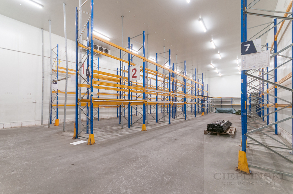 obiekt chłodnia/mroźnia/magazyn (5)