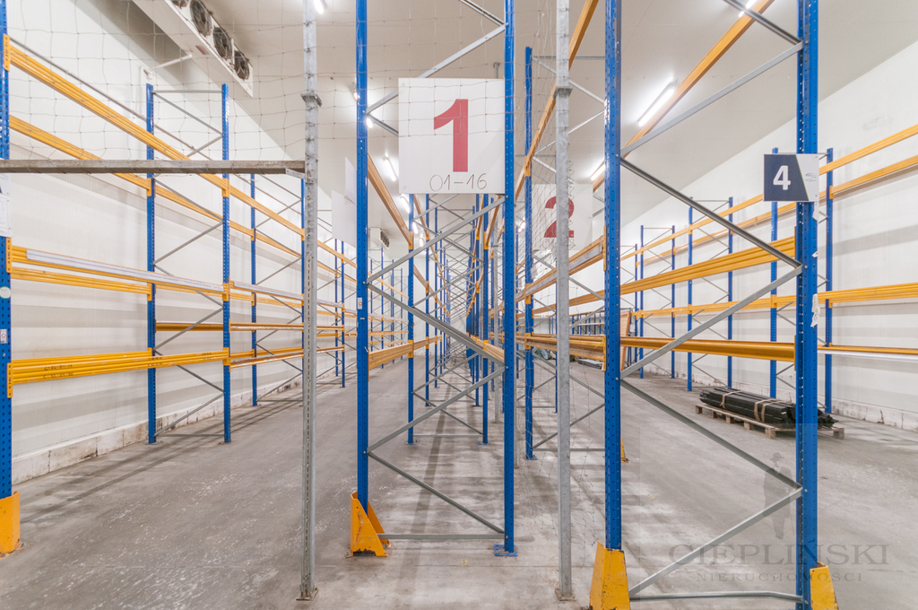 obiekt chłodnia/mroźnia/magazyn (6)