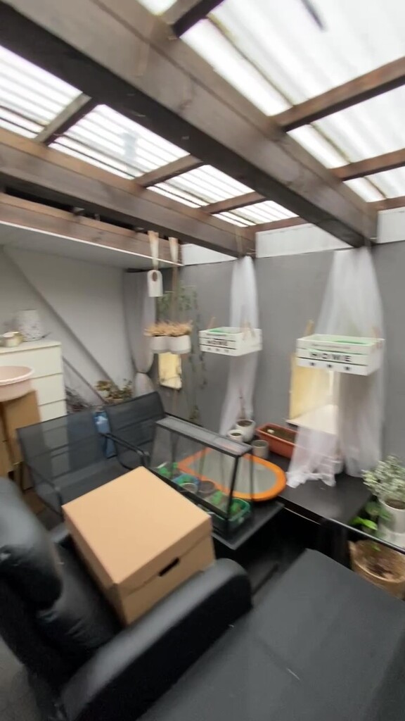 Adaptacja poddasza w ścisłym centrum Szczecina. (2)