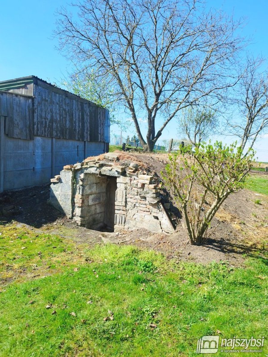 Pyrzyce  - pół domu z ogrodem  (10)