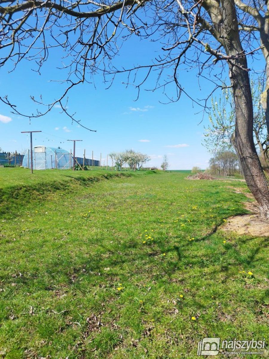 Pyrzyce  - pół domu z ogrodem  (9)