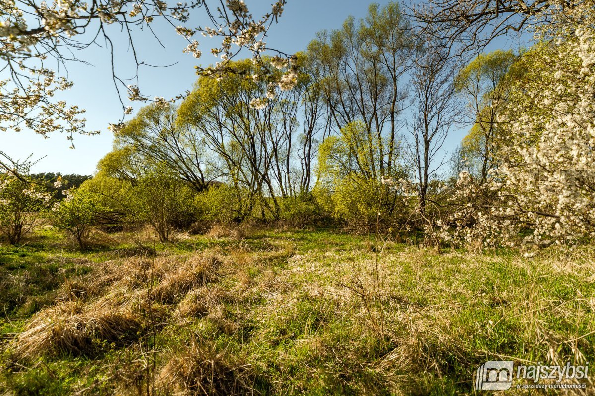 BRÓD - działka  rolna na sprzedaż  (3)