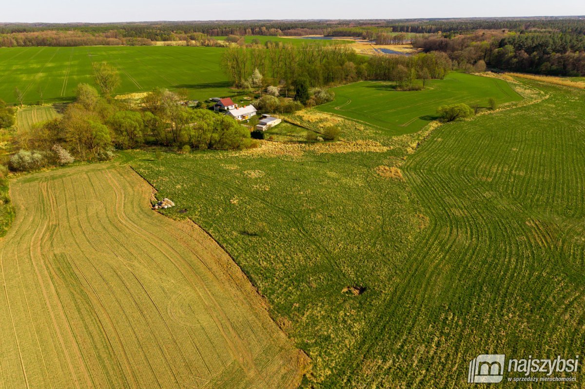 BRÓD - działka  rolna na sprzedaż  (5)