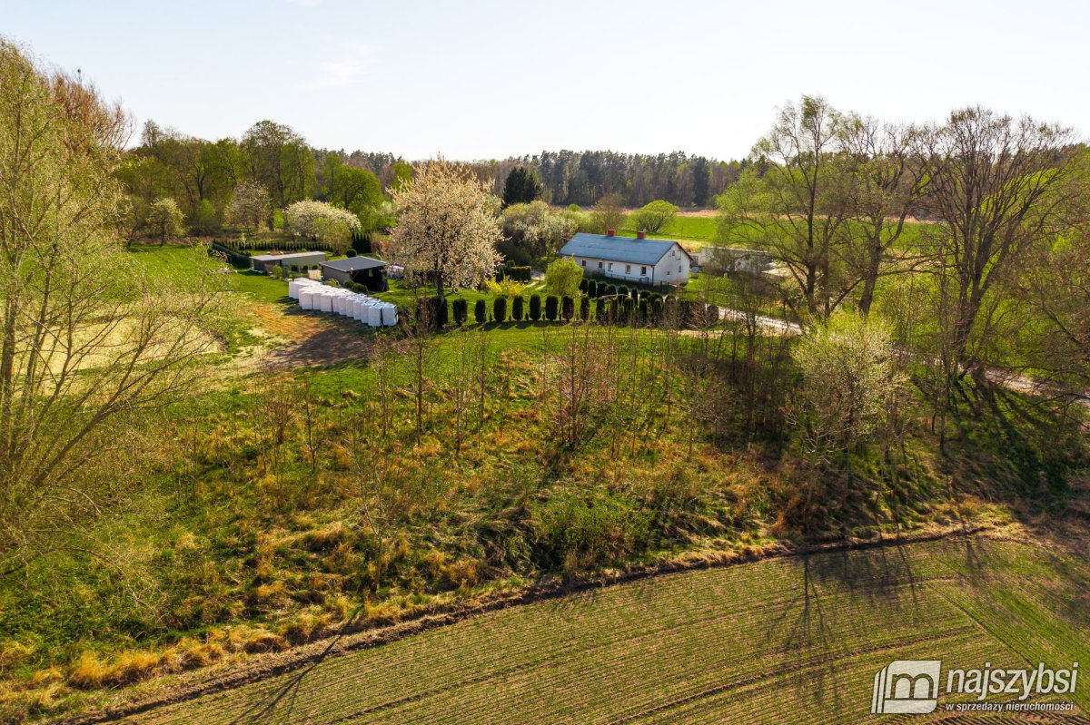BRÓD-działka rolna na sprzedaż  (5)