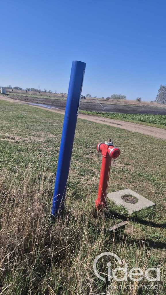 Działka w Lubczynie 100 m do Jeziora Dąbie (6)