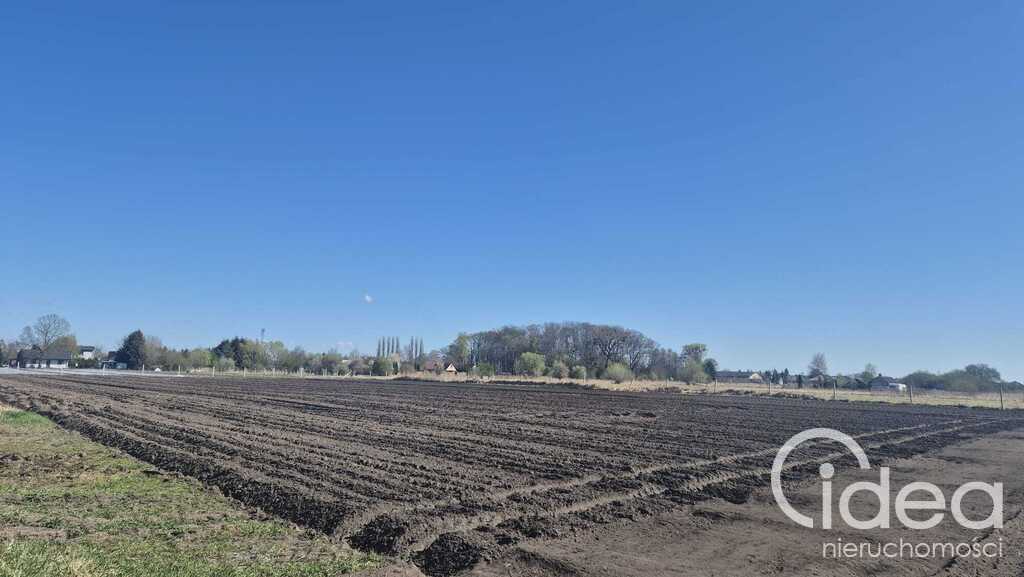 Działka w Lubczynie 100 m do Jeziora Dąbie (2)