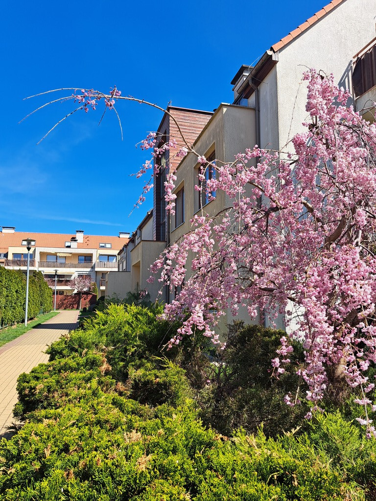 Bezrzecze - Mieszkanie z ogródkiem i garażem (12)