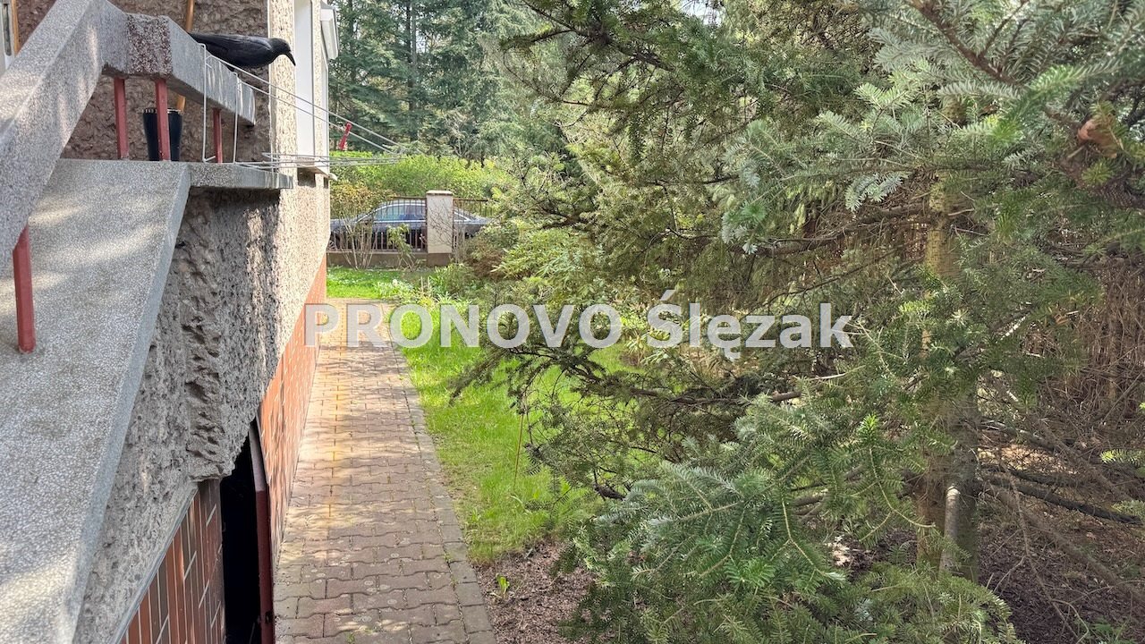 Słoneczne pokoje na Biskupinie - wszystko w cenie! (9)