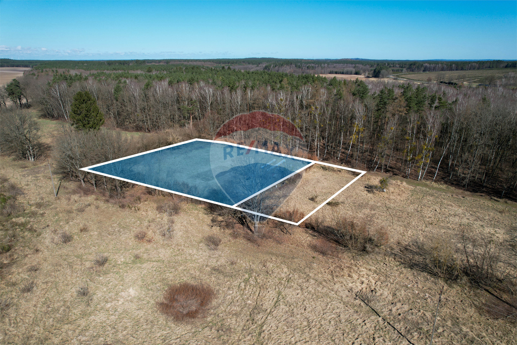 Działka rolna z potencjałem zabudowy - Słonino (8)