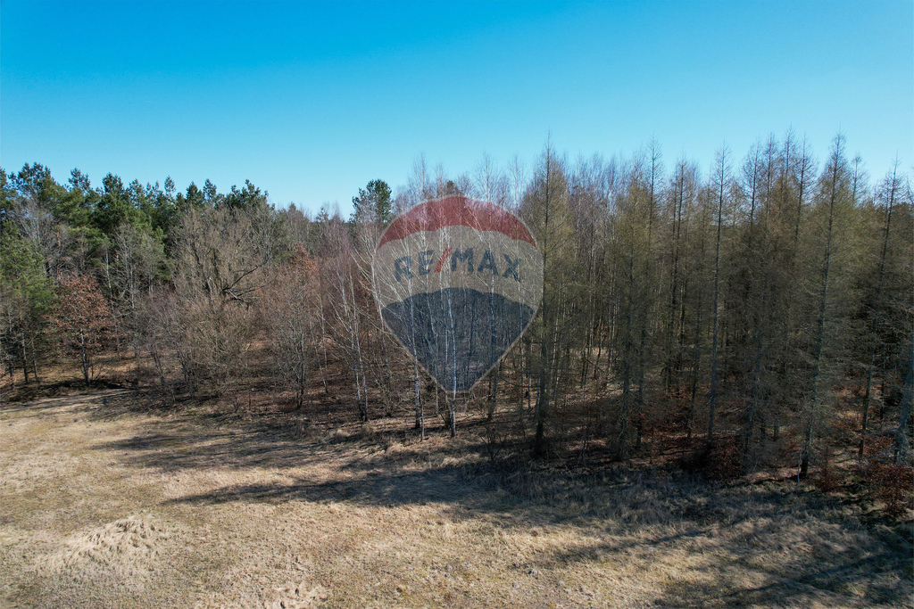 Na sprzedaż działka z klimatem: Wielanowo! (6)