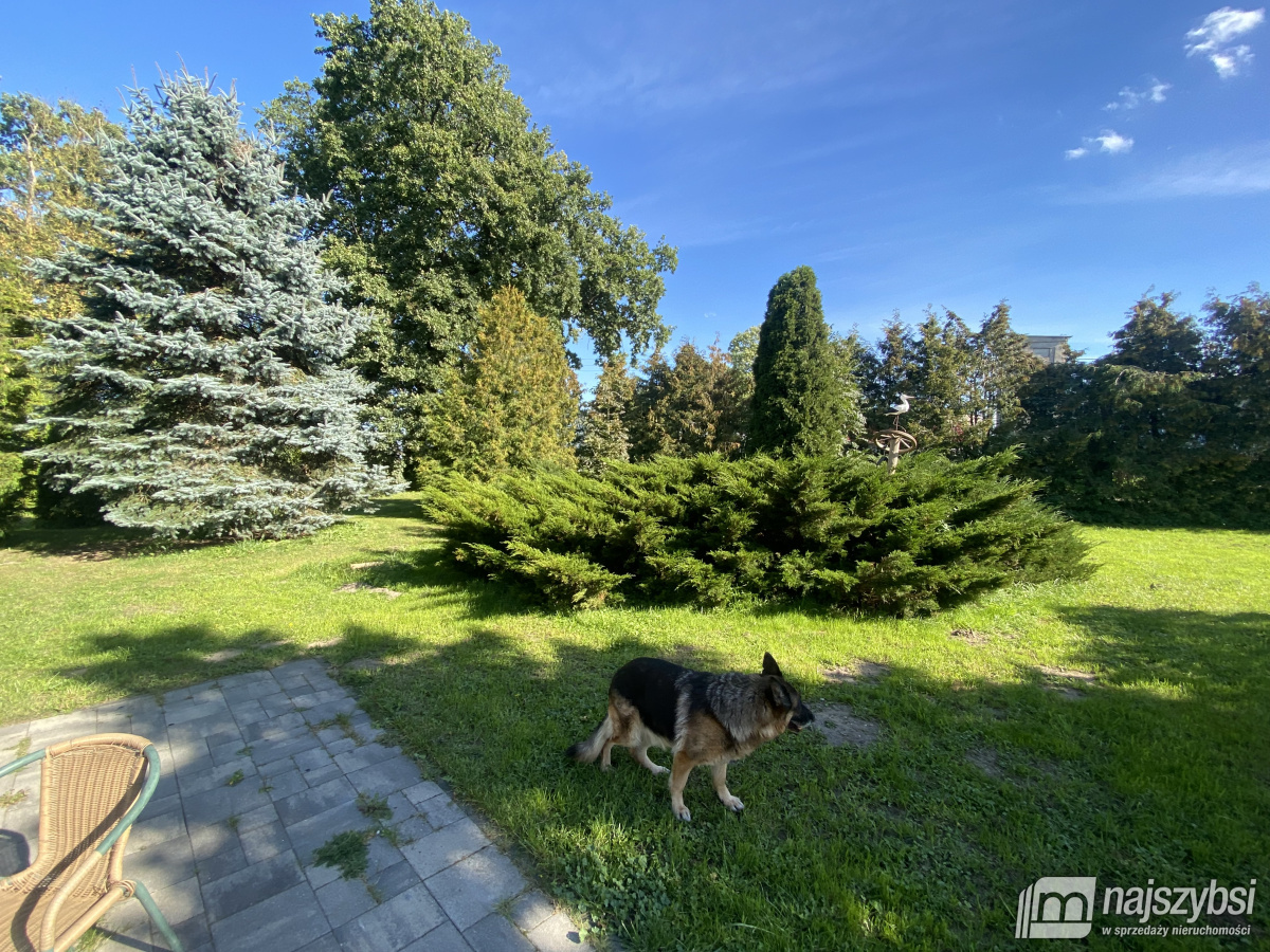 Płoty-dom z możliwościami (2)