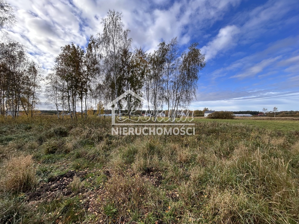 Duża działka budowlana - pod dom jednorodzinny (4)