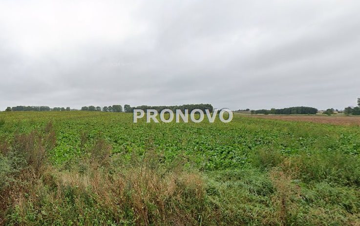 działki budowlane Bielice (3)