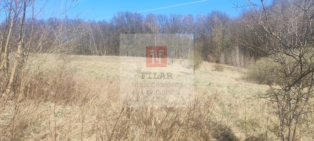 Działka rekreacyjna blisko jeziora (7)