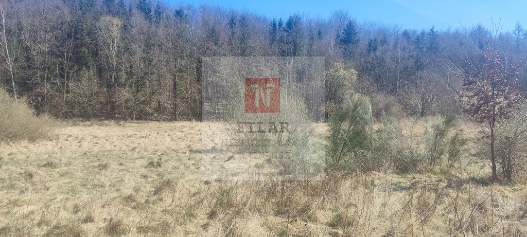 Działka rekreacyjna blisko jeziora (8)