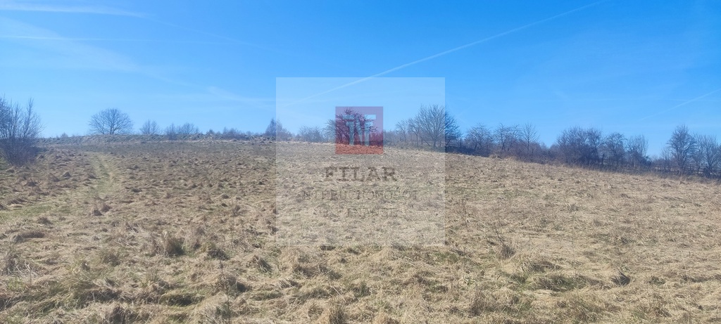 Działka rekreacyjna blisko jeziora (10)