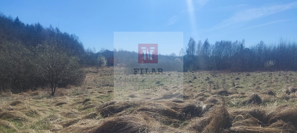 Działka rekreacyjna blisko jeziora (11)