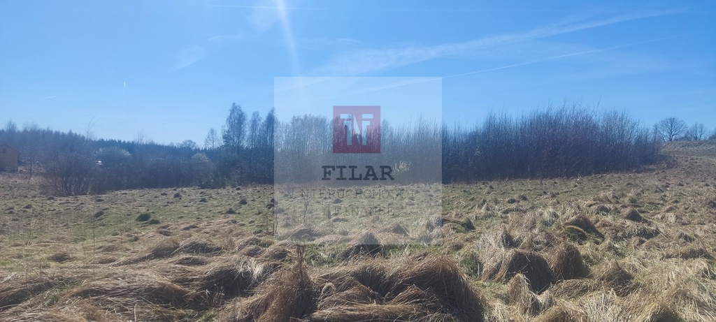 Działka rekreacyjna blisko jeziora (12)