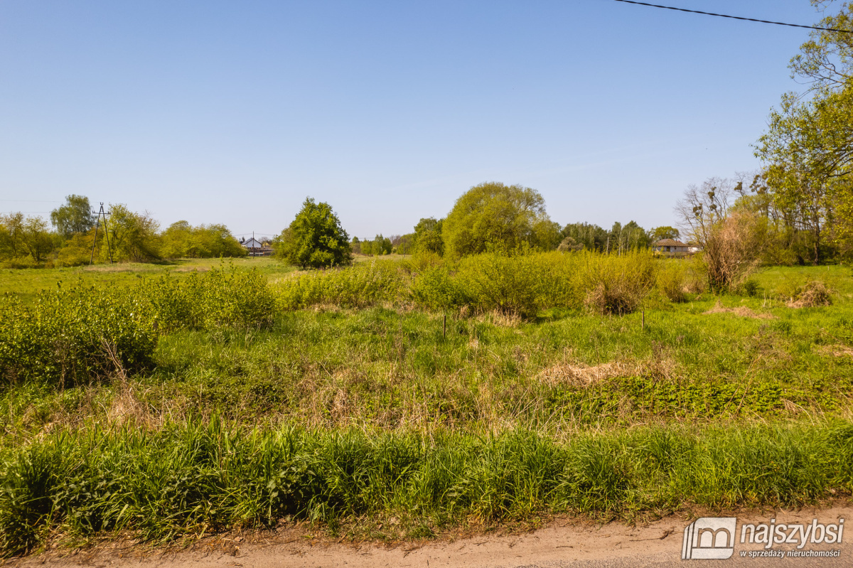 Jasienica- Dwie działki w cenie jednej (10)
