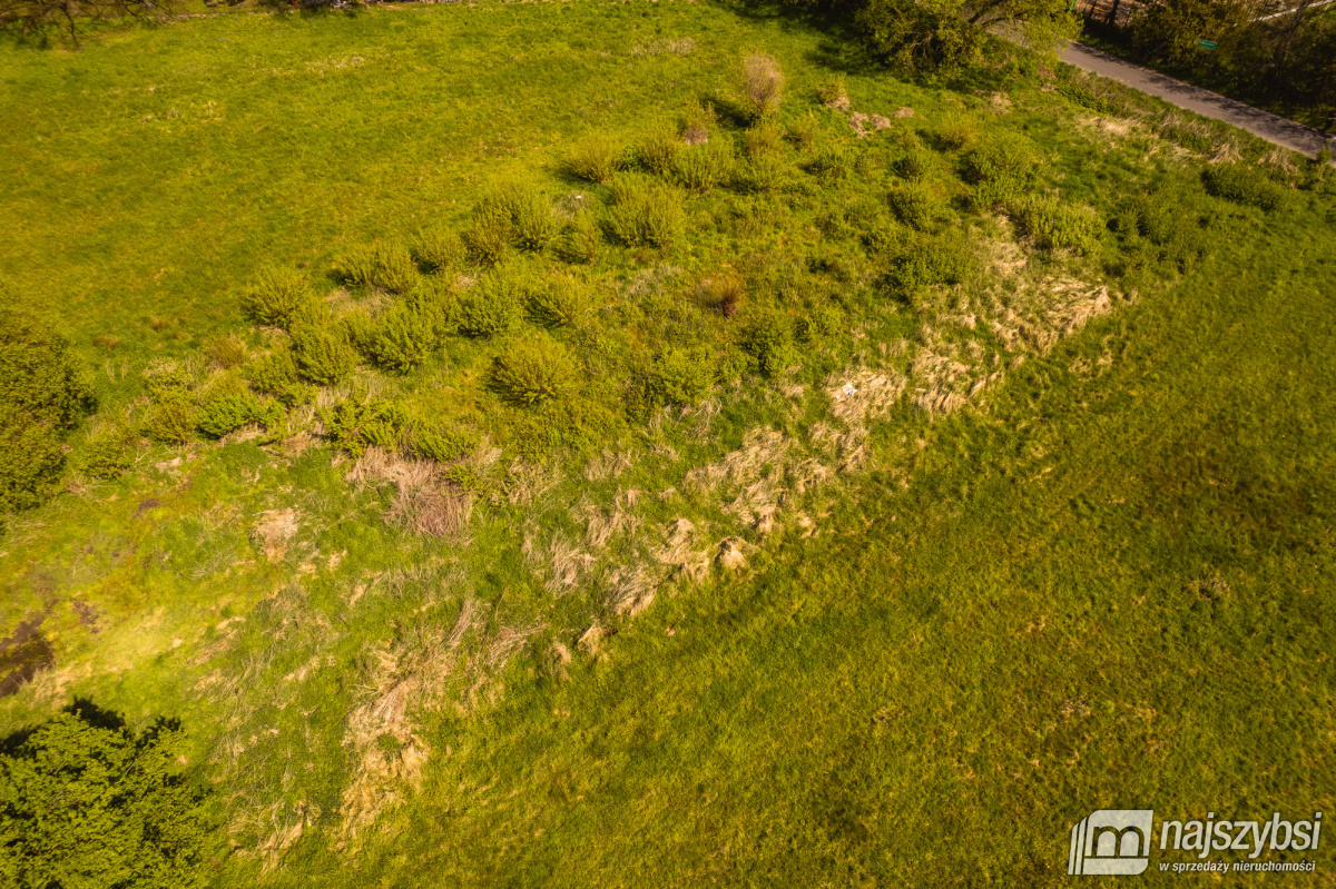 Jasienica- Dwie działki w cenie jednej (13)