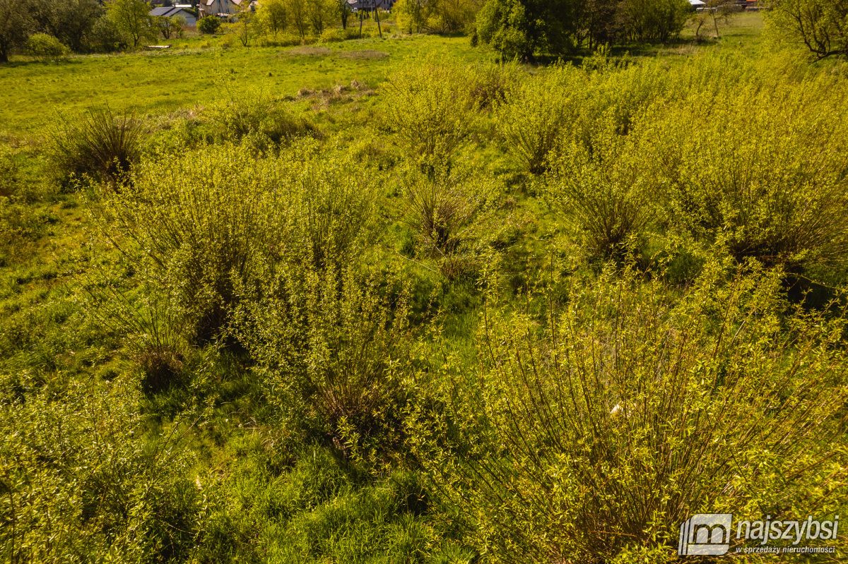Jasienica- Dwie działki w cenie jednej (14)