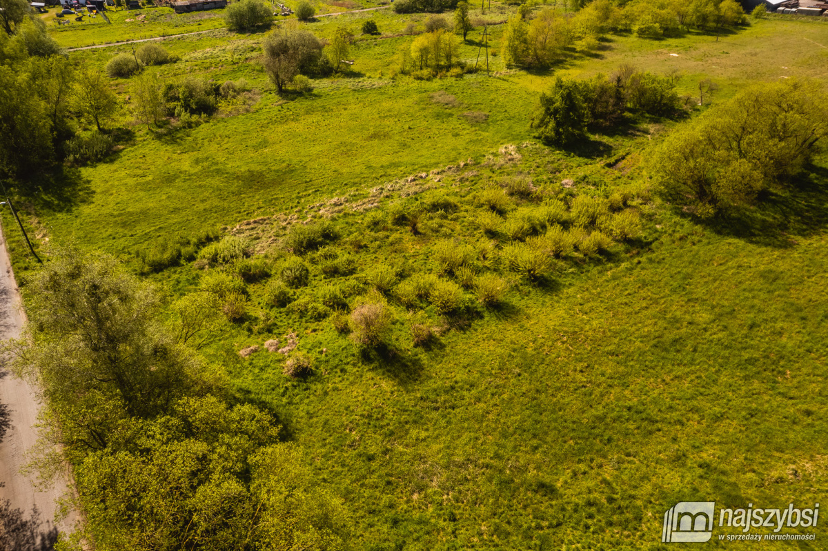 Jasienica- Dwie działki w cenie jednej (15)