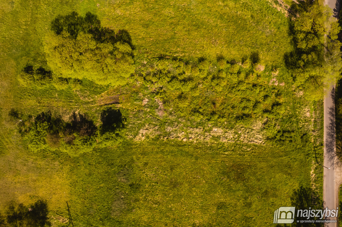 Jasienica- Dwie działki w cenie jednej (2)