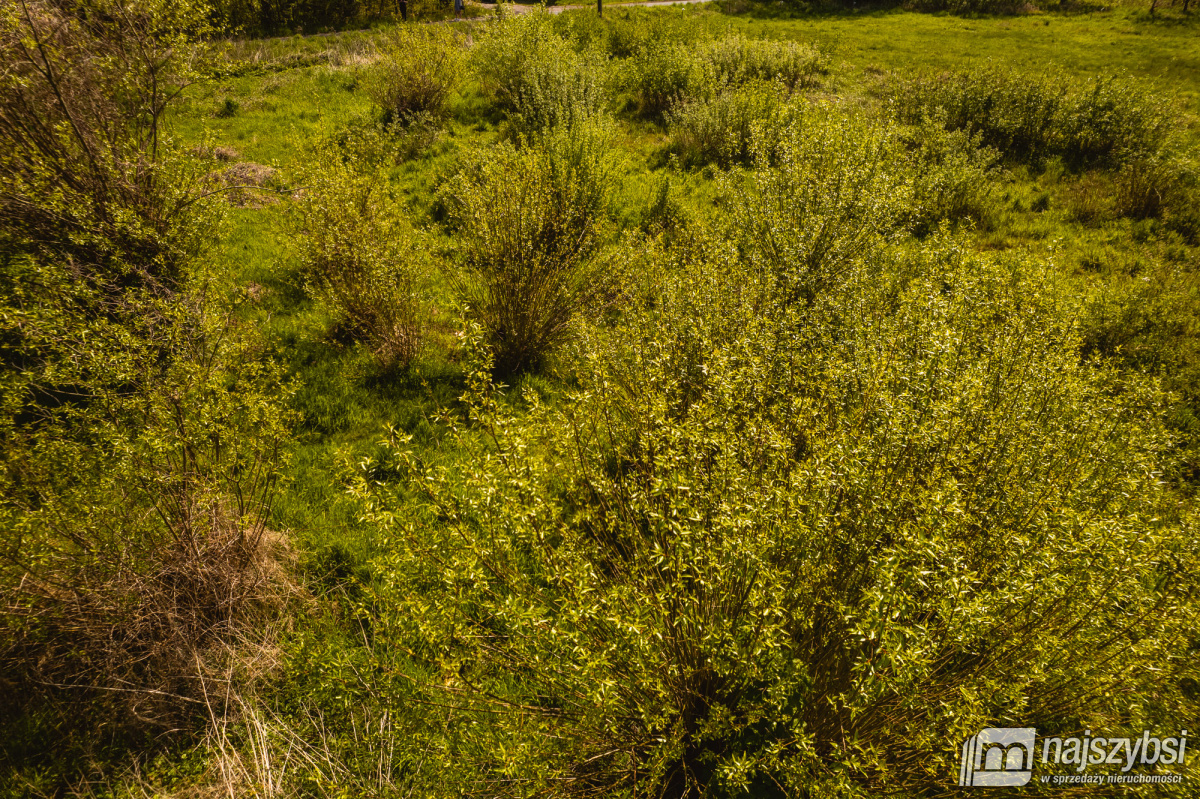 Jasienica- Dwie działki w cenie jednej (4)