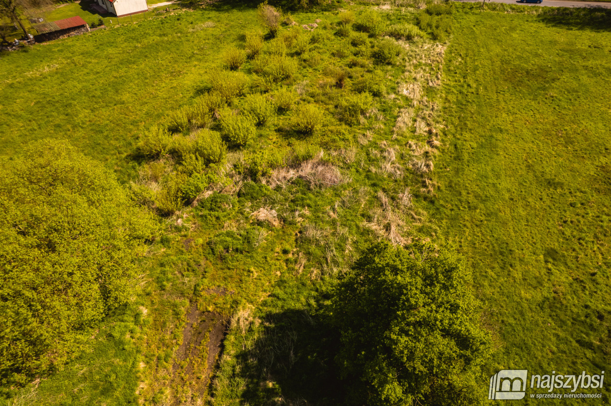 Jasienica- Dwie działki w cenie jednej (5)