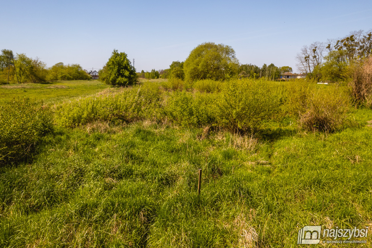 Jasienica- Dwie działki w cenie jednej (6)