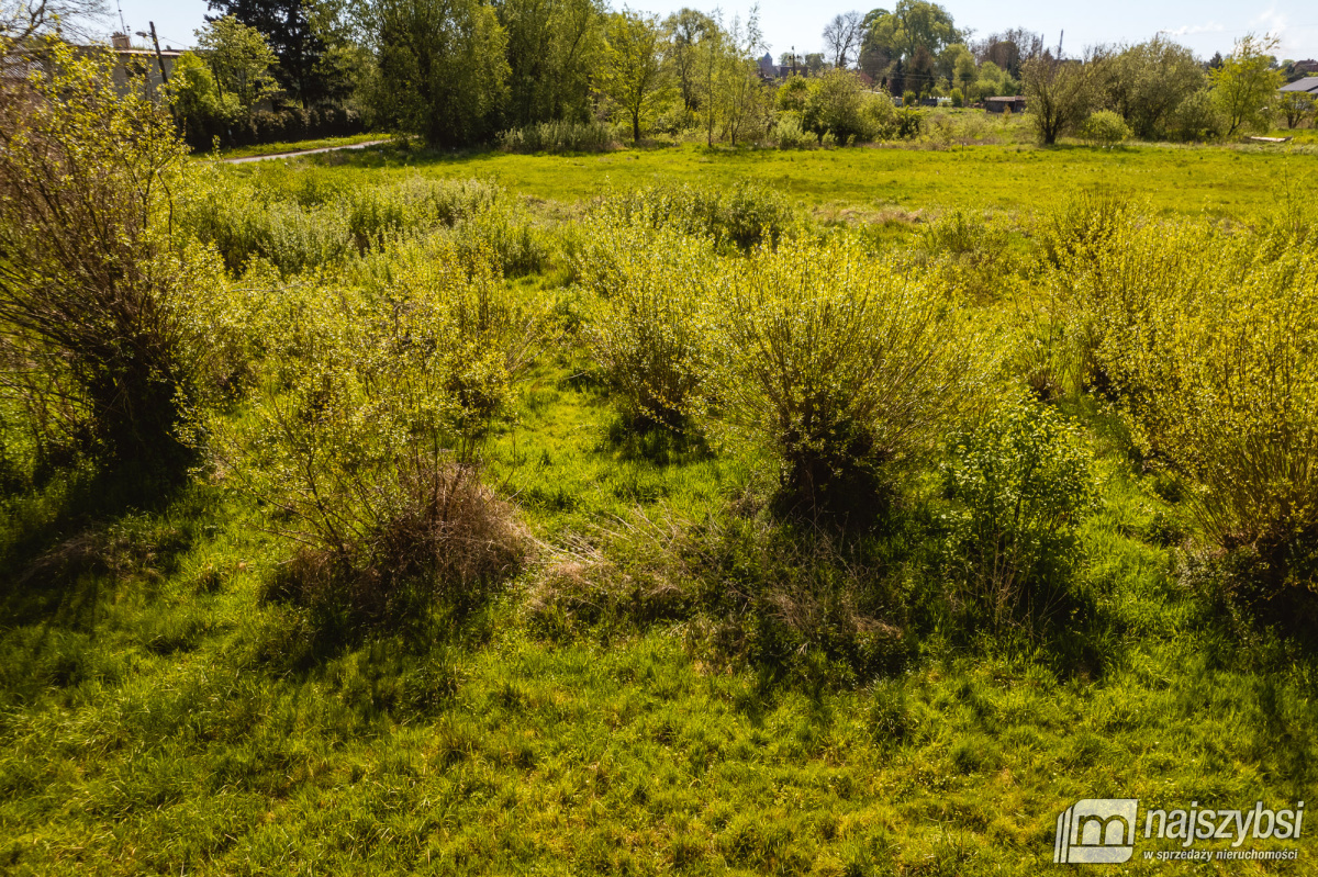 Jasienica- Dwie działki w cenie jednej (8)