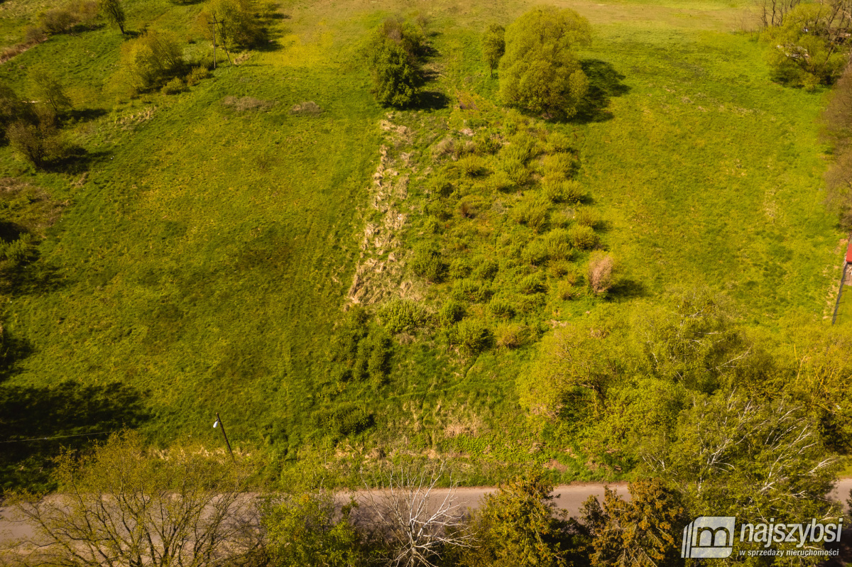 Jasienica- Dwie działki w cenie jednej (9)