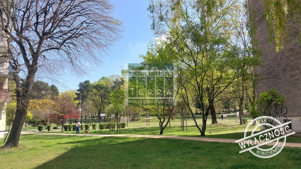 Mieszkanie z widokiem na korony drzew (16)