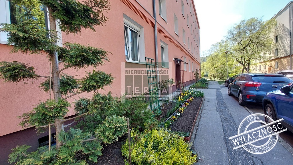 Mieszkanie z widokiem na korony drzew (14)