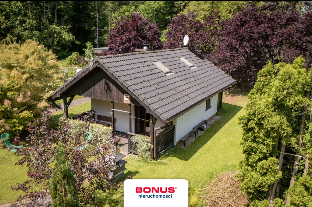 Domy przy jeziorze i lesie. (3)