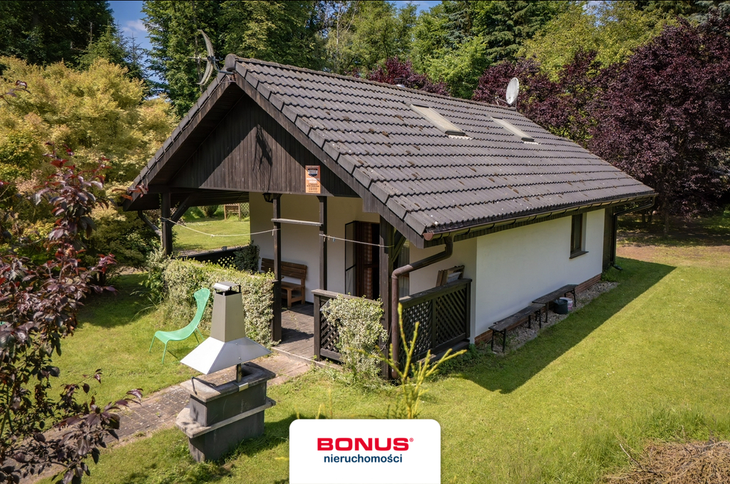 Domy przy jeziorze i lesie. (6)