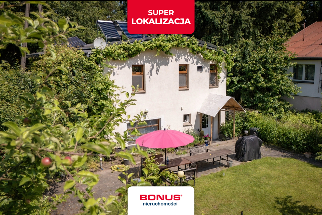 Domy przy jeziorze i lesie. (1)