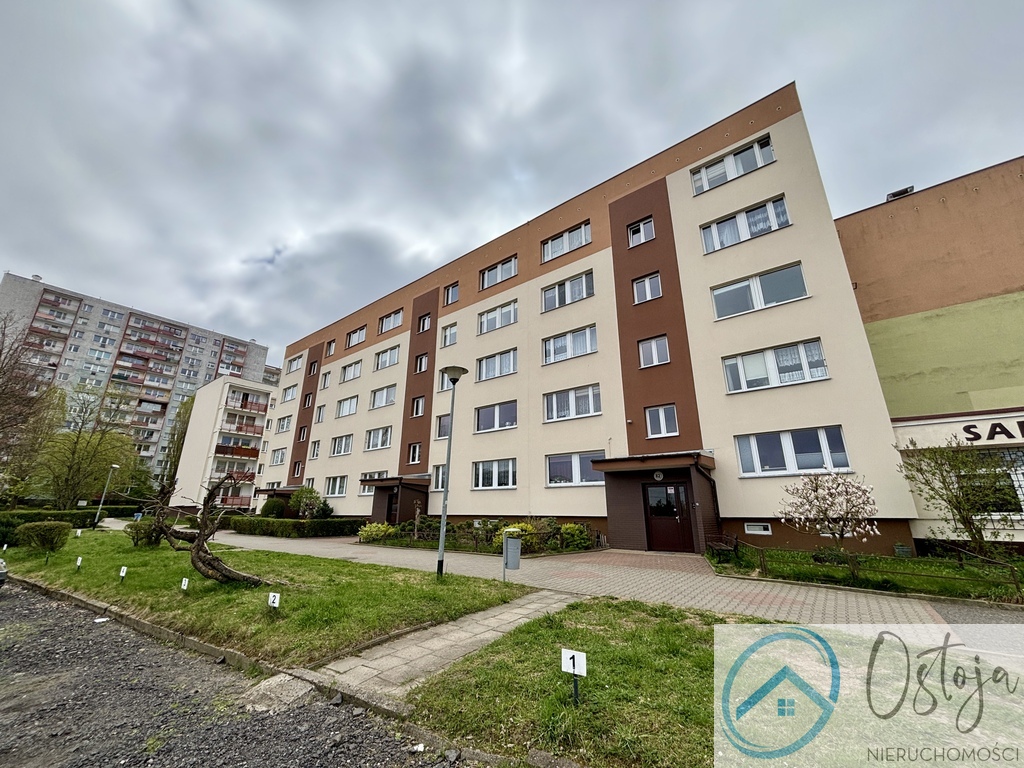 2 pokoje | niski blok | piwnica | Zawadzkiego (12)