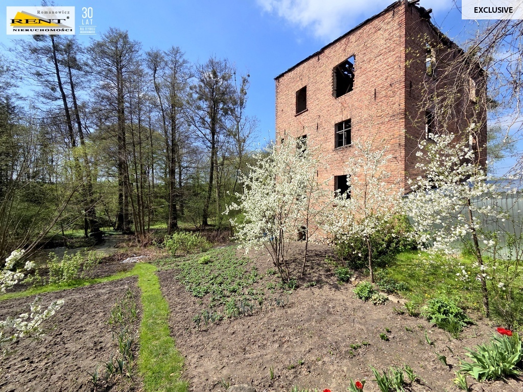 Działka ze starym młynem - Różańsko (3)